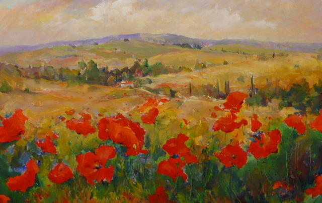 Italian Poppies In Tuscany